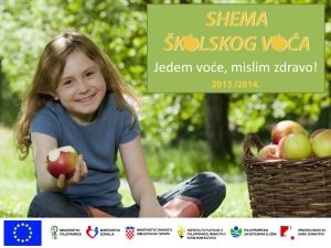 Shema_skolskog_voca_-_AMH_01