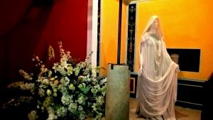 WP_20170127_20_38_34_Pro